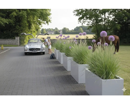 Reihe rechteckiger Pflanzkästen mit Ziergräsern und Zierlauch entlang einer Auffahrt, im Hintergrund ein Oldtimer und ein Pferd