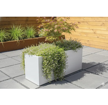 Dekorativer Pflanzkasten mit Blumen und kleinem Baum im Gartenbereich.