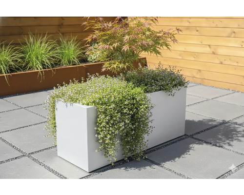 Dekorativer Pflanzkasten mit Blumen und kleinem Baum im Gartenbereich.