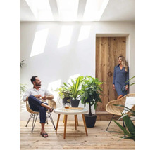 Heller Raum mit Sitzgelegenheiten, Pflanzen und Tageslicht