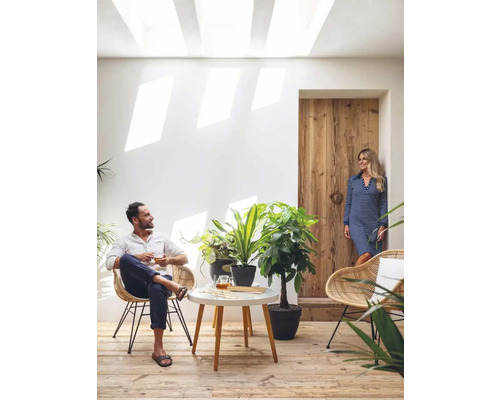 Heller Raum mit Sitzgelegenheiten, Pflanzen und Tageslicht