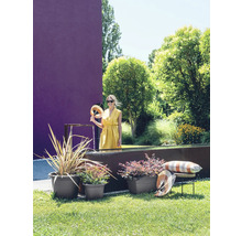 Garten mit Pflanzen in Blumentöpfen, Brunnen und einer Frau mit einem Fächer