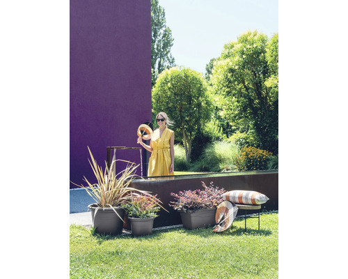 Garten mit Pflanzen in Blumentöpfen, Brunnen und einer Frau mit einem Fächer