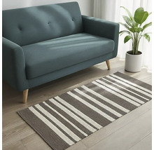 Szene mit Sofa, Zimmerpflanze und einem gestreiften Teppich