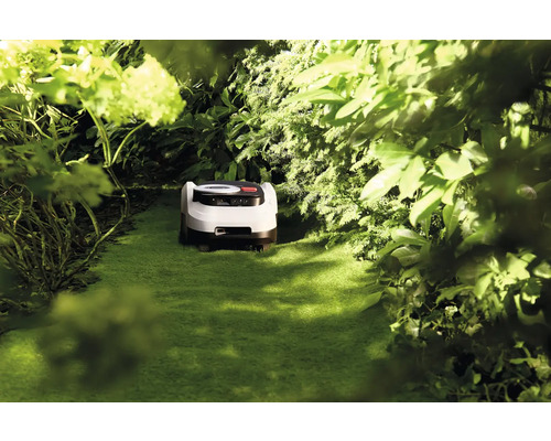 Rasenmähroboter in einem grünen Garten