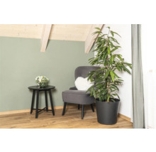 Wohnzimmerecke mit Sessel, Beistelltisch und Zimmerpflanze