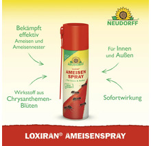 Neudorff Loxiran Ameisenspray zur Bekämpfung von Ameisen und Ameisennestern