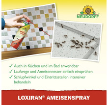 Anwendungsszenario Loxiran Ameisenspray von Neudorff zur Ameisenbekämpfung in Küche und Bad