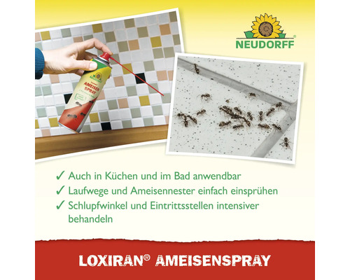 Anwendungsszenario Loxiran Ameisenspray von Neudorff zur Ameisenbekämpfung in Küche und Bad