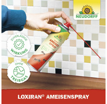 Eine Hand hält eine Dose Loxiran Ameisenspray von Neudorff mit rotem Sprührohr vor einem gefliesten Hintergrund. Das Produkt verspricht zuverlässige Wirkung und ist ohne Treibgas.