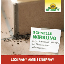 Loxiran Ameisenspray mit schneller Wirkung gegen Ameisen in Küchen, auf Terrassen und in Wohnräumen, Neudorff Logo