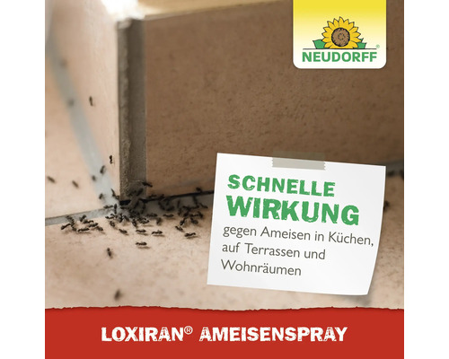 Loxiran Ameisenspray mit schneller Wirkung gegen Ameisen in Küchen, auf Terrassen und in Wohnräumen, Neudorff Logo