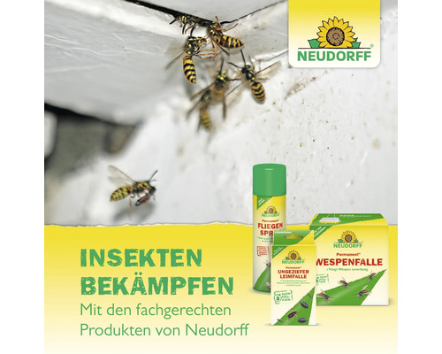 Neudorff Insektenbekämpfungsprodukte mit Wespen im Bild