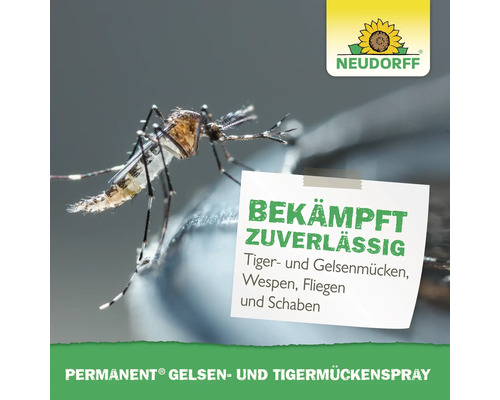 "Nahaufnahme einer Tigermücke neben einem Zettel mit dem Text: Bekämpft zuverlässig Tiger- und Gelsenmücken, Wespen, Fliegen und Schaben