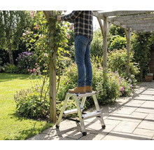 Mann steht auf einer Trittleiter im Garten und schneidet Rosen