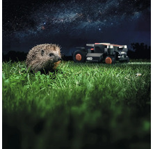 Ein Igel steht im Gras, im Hintergrund ein Rasenmähroboter unter dem Sternenhimmel.
