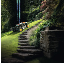 Szene mit einem Rasenmähroboter in einem Garten mit Steintreppe und üppiger Vegetation