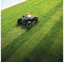 Ein Rasenmähroboter mäht einen Rasen.