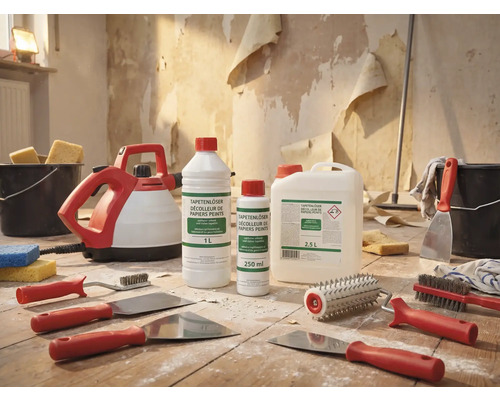 Tapetenentferner-Set mit Werkzeugen und Lösungsmitteln für Renovierungsarbeiten