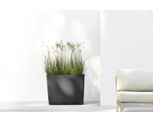 Modernes rechteckiges Pflanzgefäß mit Ziergras auf einer hellen Terrasse neben einem Gartenmöbel.