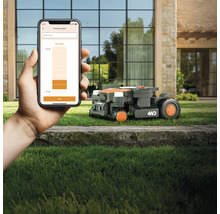 Rasenmähroboter im Einsatz, gesteuert per Smartphone-App zur Einstellung der Schnitthöhe