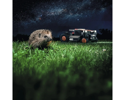 Igel im Gras mit Rasenmähroboter im Hintergrund unter Sternenhimmel
