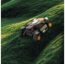 Roboterrasenmäher auf einer Rasenfläche