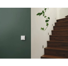 Innenraumszene mit Schalter an grüner Wand und Treppe mit Pflanzen