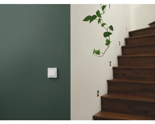Innenraumszene mit Schalter an grüner Wand und Treppe mit Pflanzen