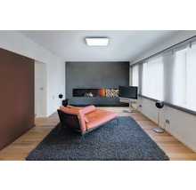 Modernes Wohnzimmer mit Kamin, Sofa, Fernseher und Teppich