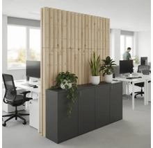 Büro mit Raumteiler aus Holz und Büroschränken
