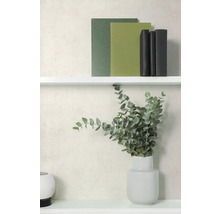 Vliestapete mit dezenter Struktur in hellem Beige hinter einem weißen Regal mit Büchern und einer Vase mit Eukalyptuszweigen.