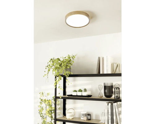 Deckenleuchte mit Holzumrandung in einem hellen Raum über einem Regal.