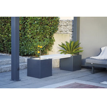 Gartenszene mit Pflanzenkübeln und Sitzbank im Außenbereich