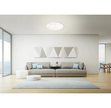 Helles Wohnzimmer mit moderner Deckenleuchte, Sofa und Teppich