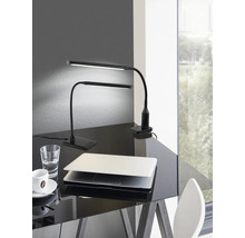 Zwei schwarze LED-Schreibtischlampen auf einem glänzenden Schreibtisch mit einem Laptop, einem Glas Wasser und einer Kaffeetasse.