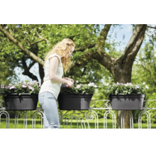 Frau pflegt Blumen in Balkonkästen auf einem Balkongeländer