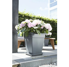 Grauer Kunststoffblumentopf mit Hortensien auf Terrasse