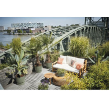 Terrasse mit Gartenmöbeln, Pflanzen und Blick auf eine Brücke und die Stadt