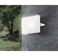 Weiße LED-Außenleuchte an einer Wand neben einem Garten