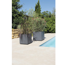 Zwei graue Pflanzkästen mit Bepflanzung neben einem Pool