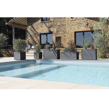 Reihe von Pflanzgefäßen unterschiedlicher Größe neben einem Schwimmbecken in einem Garten.