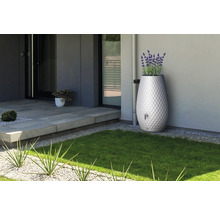 Dekorativer Regenspeicher in modernem Garten, rautenförmiges Oberflächenmuster, integrierter Pflanztopf mit Lavendel, Anschluss an Fallrohr.