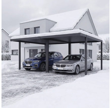 Doppelcarport mit zwei geparkten Autos vor einem Haus im Winter