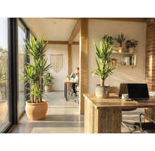 Büroraum mit Zimmerpflanzen, Holzbalken und Schreibtischen.