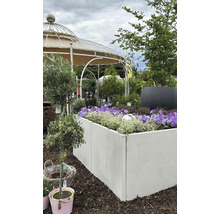 Szene mit einem erhöhten Gartenbeet mit Blumen, einem Pavillon und verschiedenen Pflanzen.