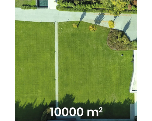 Luftaufnahme eines 10000 Quadratmeter großen Gartens mit Rasenfläche