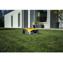 Gelber Rasenmähroboter auf einer Rasenfläche vor einem Haus