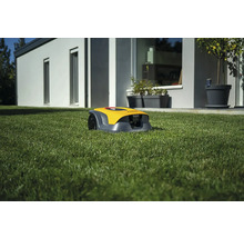 Gelber Mähroboter auf einer Rasenfläche vor einem Haus