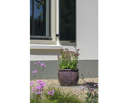 Blumentopf mit blühender Pflanze im Garten